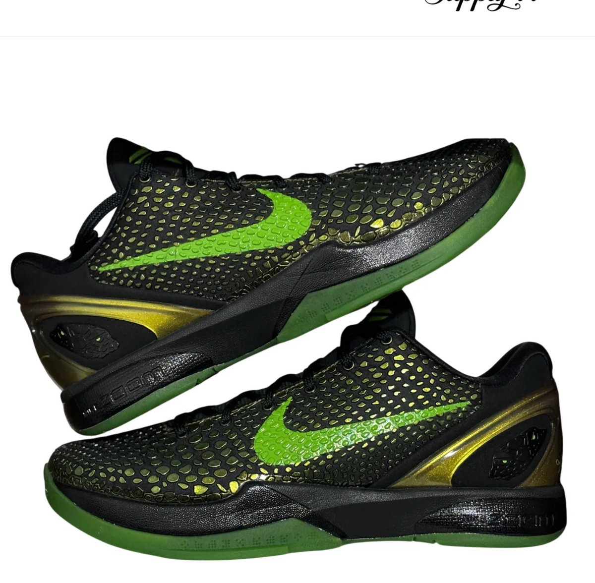 Kobe 6s