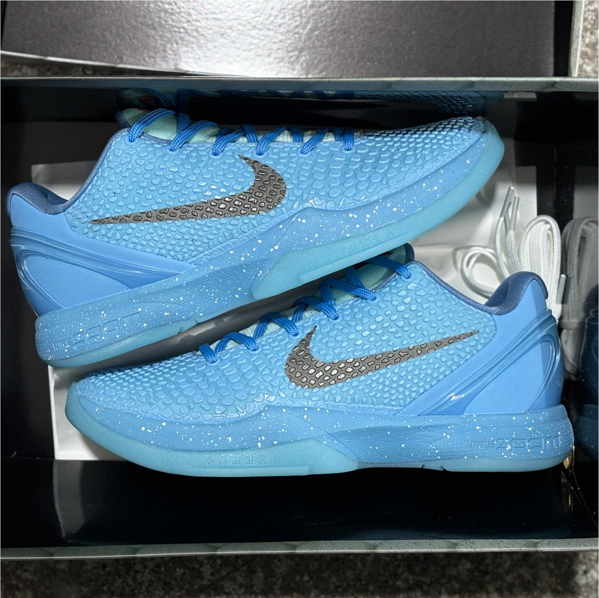 Kobe 6s