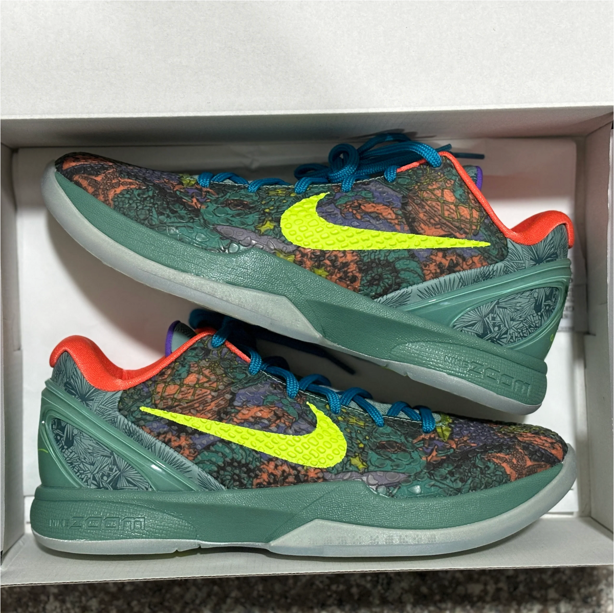 Kobe 6s