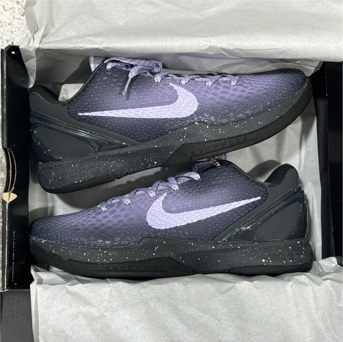 Kobe 6s