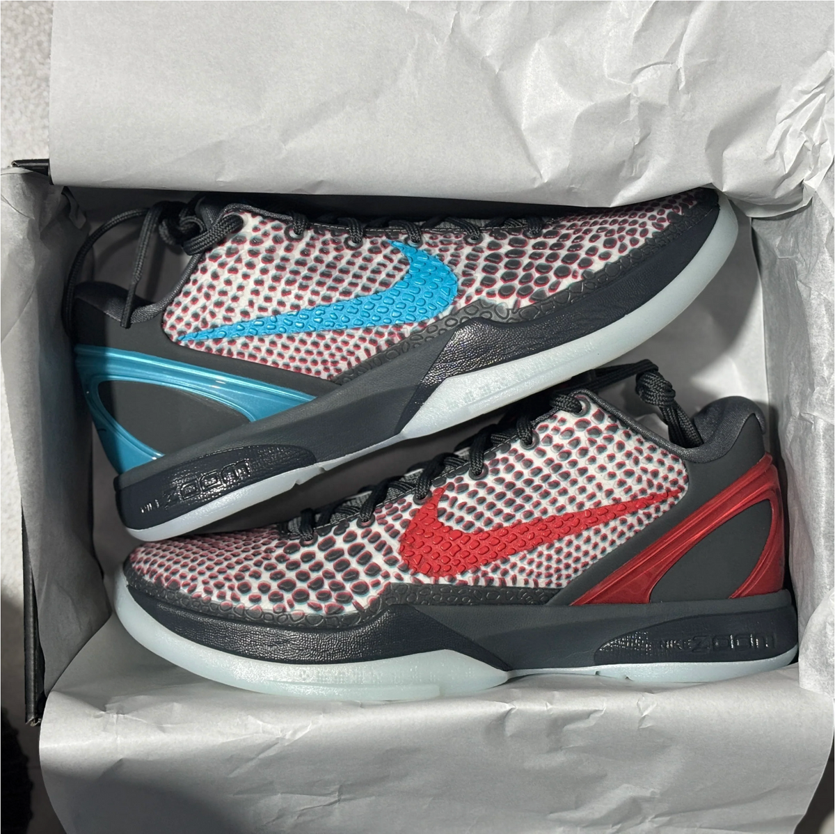 Kobe 6s