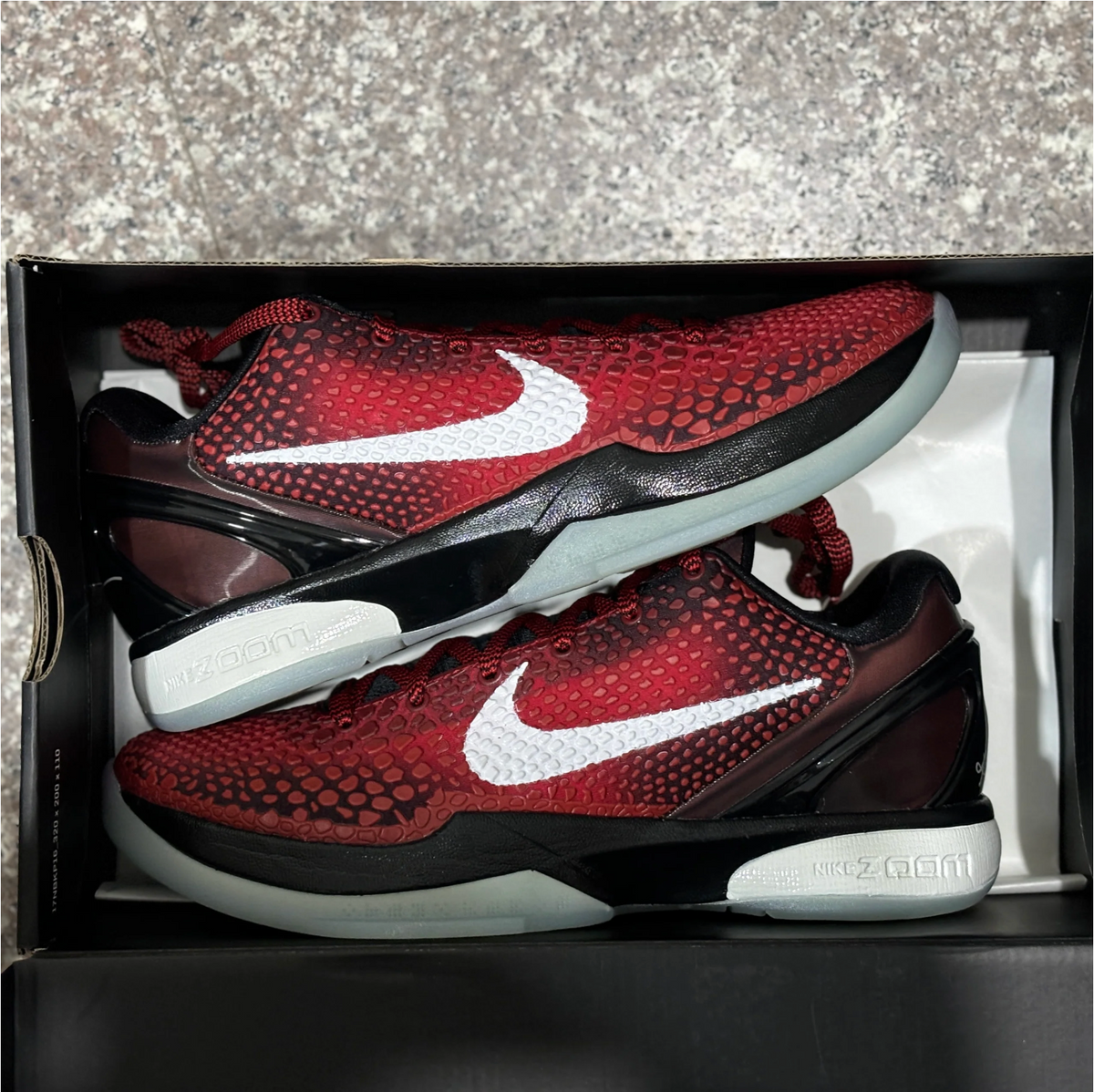 Kobe 6s