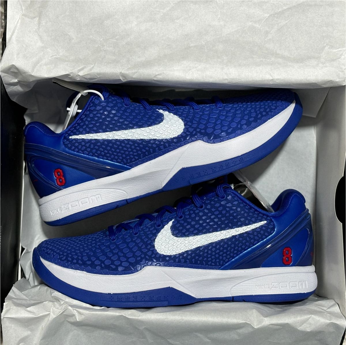Kobe 6s