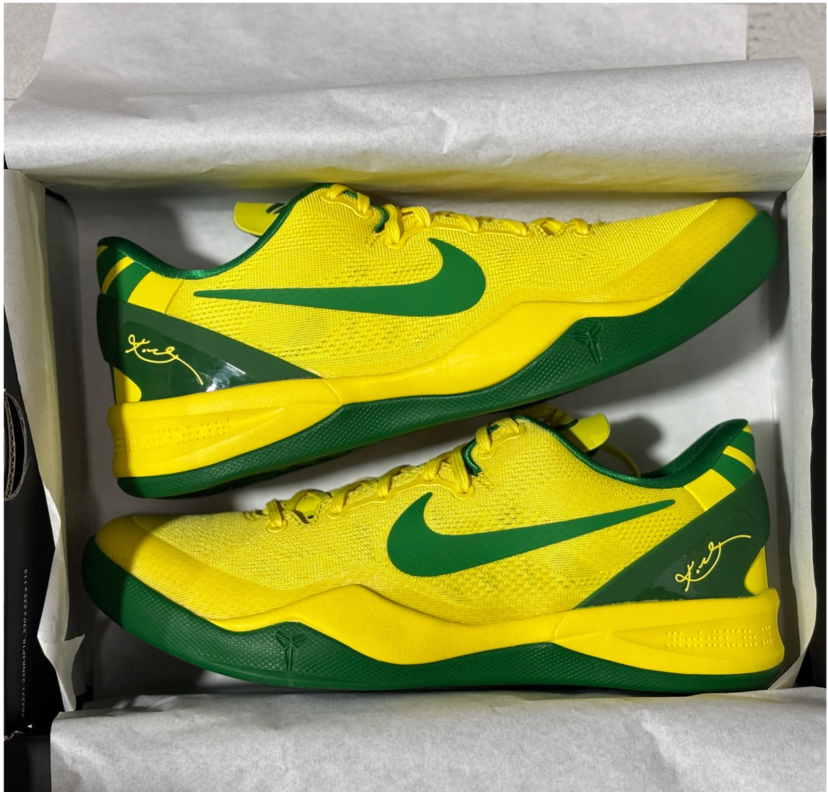 All Kobes 8