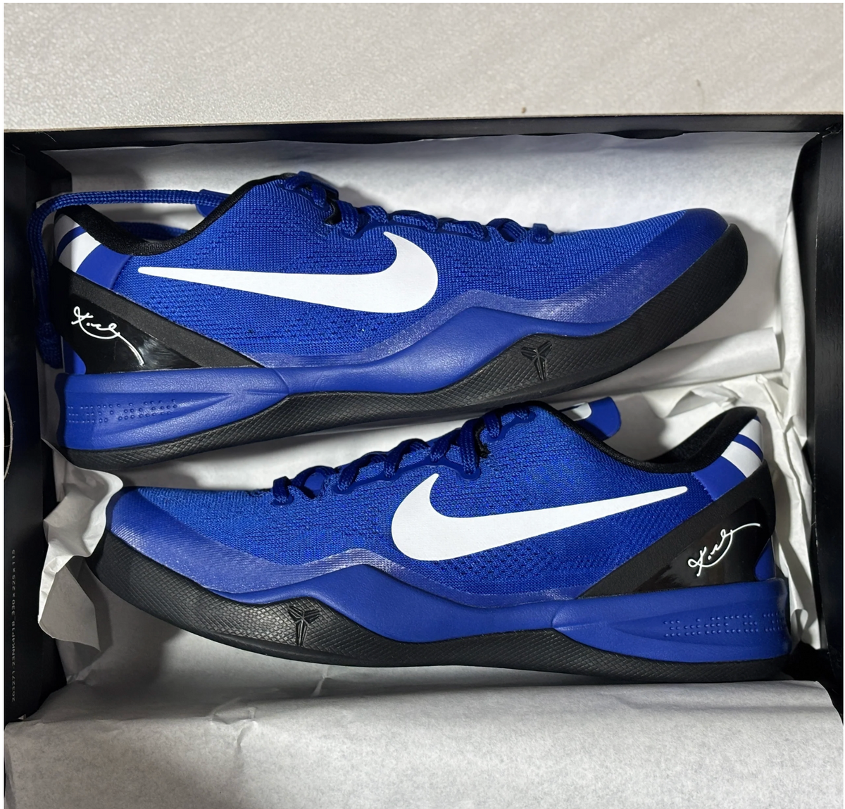 All Kobes 8