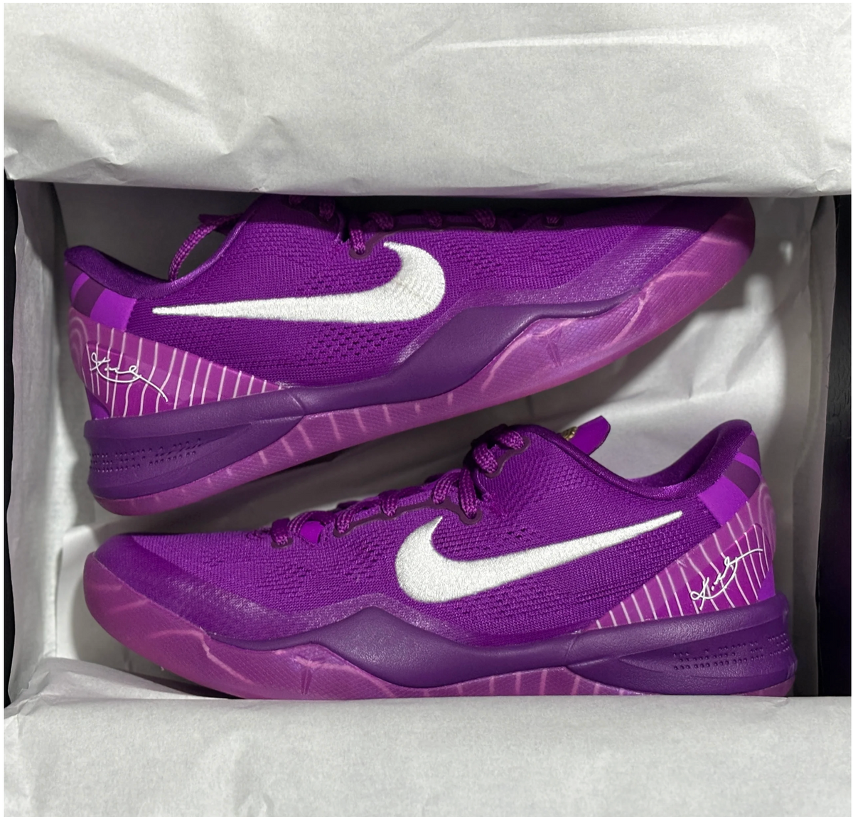 All Kobes 8