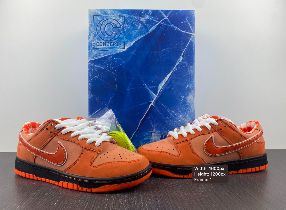 Nike SB Dunk